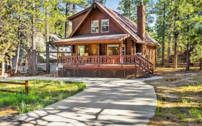 Cub's Cabin #2561