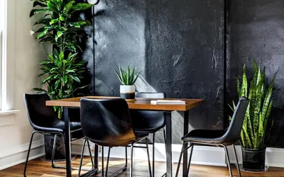 Jungle House Historic Lofts – German Village