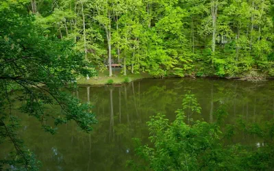 Lakefront-nestled in Nirvana