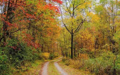 The 312 House A Boho Retreat Hocking Hills