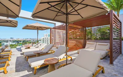 Domus Brickell Park