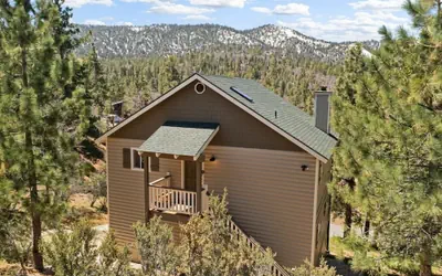 Paradise Pines