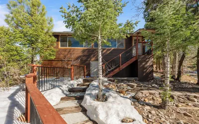 Honey Bear Cabin