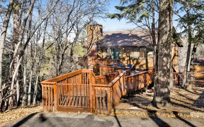 2600-the Tree Top Cabin