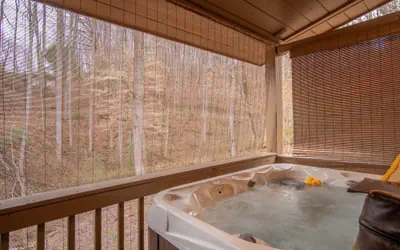 Cozy Hot Tub Cabin!