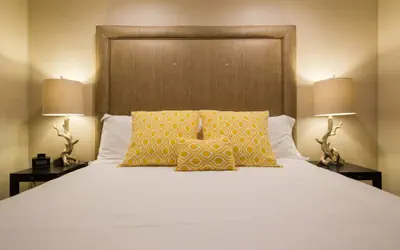 Pet-friendly Napa Retreat Wineries Downtown