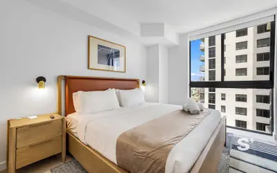 Brand-New Luxury 1BR  - Rooftop pool