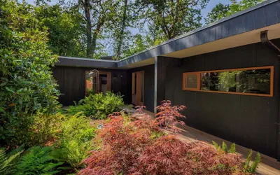 The Meadowlark - Midcentury Gem Minutes From Campus 3 Bedroom Home