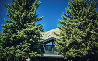 The Alpine House