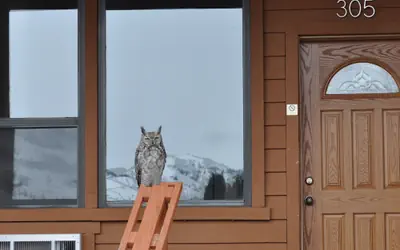 Yellowstone Village Inn and Suites