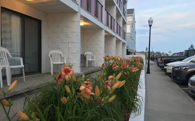 Simple Life Motel