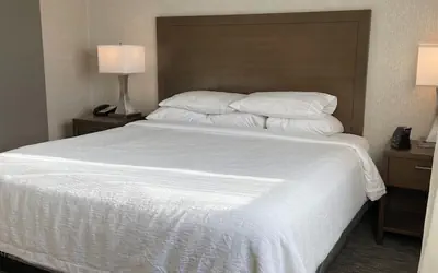 Embassy Suites by Hilton Chicago Schaumburg Woodfield