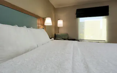 Hampton Inn Batavia