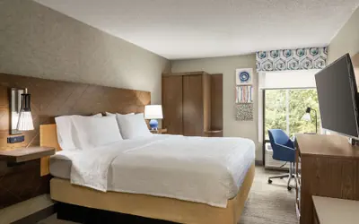 Hampton Inn Kansas City - Airport