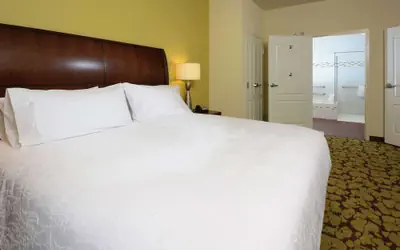 Hilton Garden Inn Greensboro Airport - Newly Renovated!