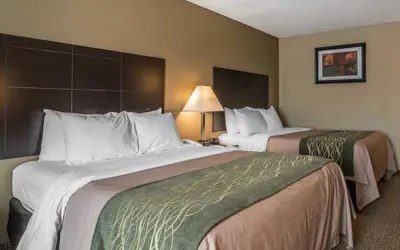 Comfort Inn Saugerties