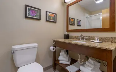 Comfort Suites Boone - University Area
