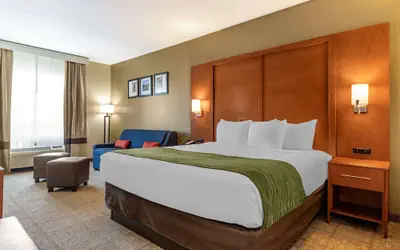 Comfort Inn & Suites Orangeburg