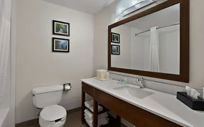 Comfort Inn & Suites Santee