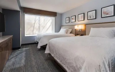 Hilton Garden Inn Atlanta North/Johns Creek