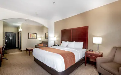 Comfort Inn & Suites Love Field-Dallas Market Center