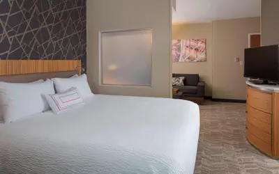 SpringHill Suites St. Louis Airport/Earth City