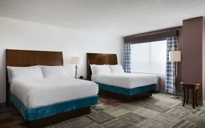 Hilton Garden Inn Denver South Park Meadows Area