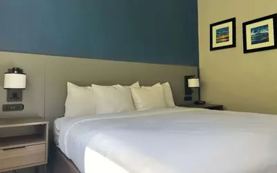 Comfort Inn & Suites Calhoun South