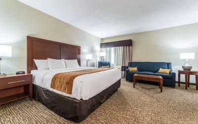 Comfort Inn Festus-St Louis South