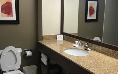 Comfort Suites Northside Hospital Gwinnett