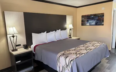 Regency 7 Motel