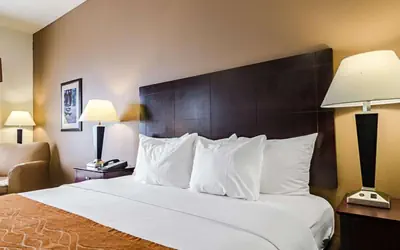 Comfort Inn & Suites Lawrence - University Area