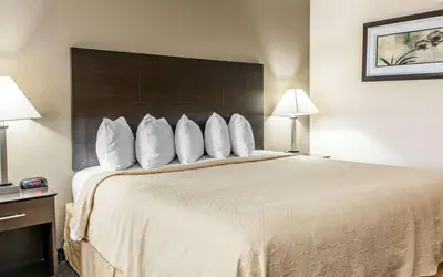 Quality Inn & Suites Mattoon South