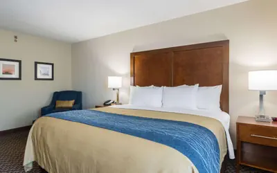 Comfort Inn Edwardsville - St Louis