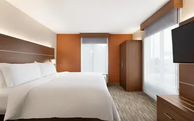 Holiday Inn Express & Suites Auburn - University Area by IHG