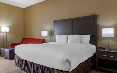 Comfort Inn Opelika - Auburn