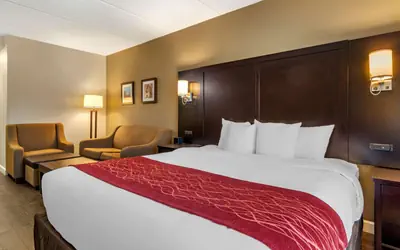 Comfort Inn & Suites near Six Flags