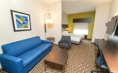 Holiday Inn Express and Suites Springfield Medical District by IHG