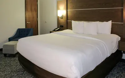 Comfort Inn & Suites Near Lake Guntersville