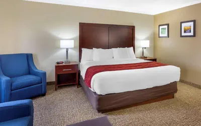 Comfort Inn Hoffman Estates - Schaumburg