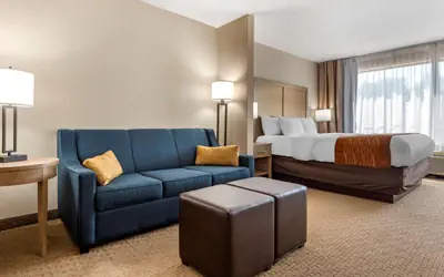 Comfort Inn & Suites Farmington - Victor