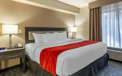 Comfort Suites Alpharetta-Roswell - Atlanta Area