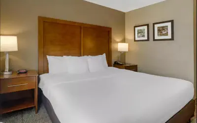 Comfort Inn & Suites Peachtree Corners - Norcross