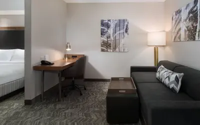 SpringHill Suites by Marriott Syracuse Carrier Circle