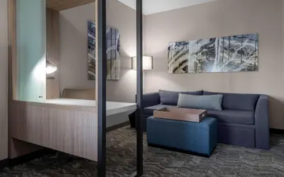 SpringHill Suites by Marriott Charlotte Huntersville