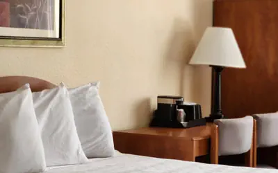 Luxury Inn & Suites