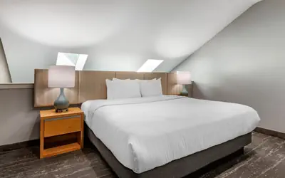 Amwell Suites