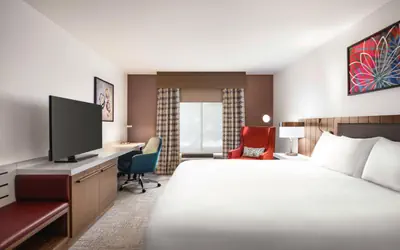 Hilton Garden Inn Atlanta South-McDonough