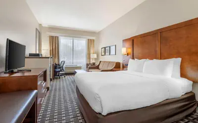 Comfort Inn Summerville - Charleston
