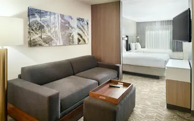 SpringHill Suites by Marriott Atlanta Six Flags